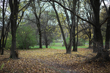 Metal pipes on the street. pipes from the pipeline. gas pipeline for gas pumping. heat-pipe. large silver colored pipe for hot water.