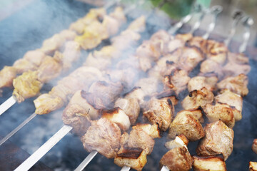 Delicious and juicy barbecue fried on coals in nature during a picnic. High quality photo
