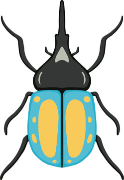 Blue and Yellow Horned Bettle Illustration