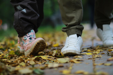 Feet sneakers walking on fall leaves Outdoor with Autumn season nature on background Lifestyle Fashion trendy style