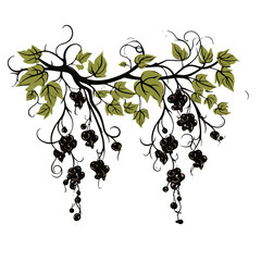 tree, nature, vector, illustration, silhouette, branch, leaf, design, plant, floral, black, flower, art, drawing, decoration, pattern, spring, bird, element, season, frame, forest, leaves, old, trunk,