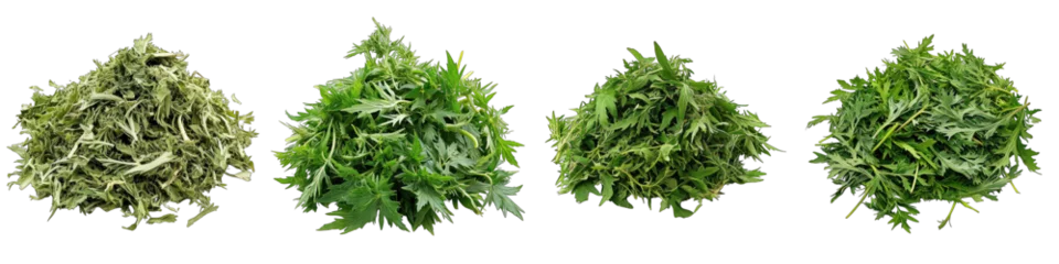 Foto op Plexiglas Mugwort  Herbs Pile Of Heap Of Piled Up Together Hyperrealistic Highly Detailed Isolated On Transparent Background Png File © Wander Taste