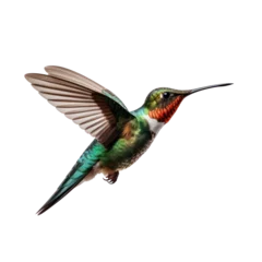 Fotobehang Kolibrie Hummingbird in flight