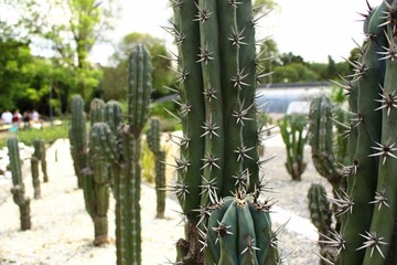 Paisaje en el Parque