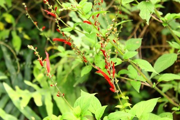 Paisaje en el Parque
