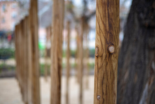 Wood posts arranged