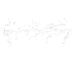 tree, nature, vector, illustration, silhouette, branch, leaf, design, plant, floral, black, flower, art, drawing, decoration, pattern, spring, bird, element, season, frame, forest, leaves, old, trunk,