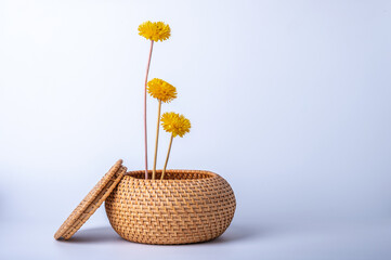 Ikebana with yellow dried flowers in wicker basket on white background.
