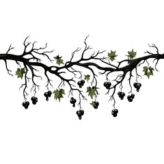 tree, nature, vector, illustration, silhouette, branch, leaf, design, plant, floral, black, flower, art, drawing, decoration, pattern, spring, bird, element, season, frame, forest, leaves, old, trunk,