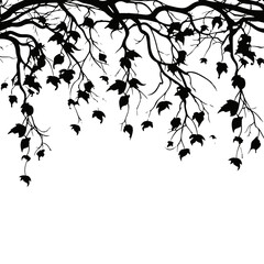 tree, nature, vector, illustration, silhouette, branch, leaf, design, plant, floral, black, flower, art, drawing, decoration, pattern, spring, bird, element, season, frame, forest, leaves, old, trunk,