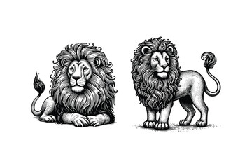set of lions  illustration. hand drawn lion black and white vector illustration. isolated white background - obrazy, fototapety, plakaty