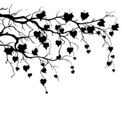 tree, nature, vector, illustration, silhouette, branch, leaf, design, plant, floral, black, flower, art, drawing, decoration, pattern, spring, bird, element, season, frame, forest, leaves, old, trunk,