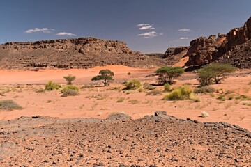 Bouhadian rock formations in Tadrart Rouge, Tassili N'Ajjer National Park. Sahara, Algeria, Africa.