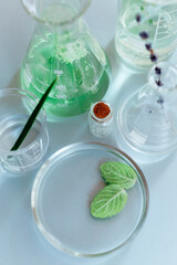 Various bottles on table in laboratory