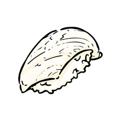 イカの寿司のの手描きイラスト
