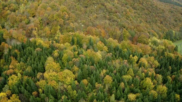 Aerial Tilt Down Shot If Isere River Stream Amidst Fir Trees On Mountain At French Alps