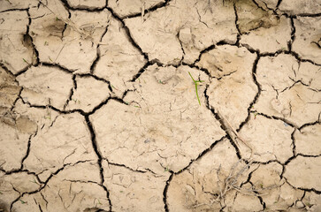 Top view of dry soil with cracks and fissures, climate change or global warming concept background, natural backdrop