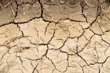Top view of dry soil with cracks and fissures, climate change or global warming concept background, natural backdrop