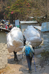 The adult sherpa porters carrying heavy sacks and a group of hikers in the Himalayas at Everest Base Camp trek