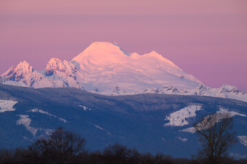 Evening light creates a purple hue in the sky above volcanic Mount Baker in the Cascade Mountains...