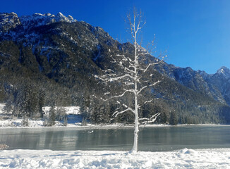 fairytale and scenic snowy panorama in the mountains in winter