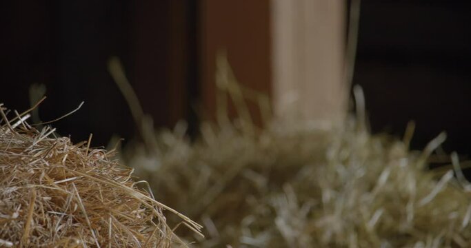 Gloves on a dry hay pile / Panning right 2