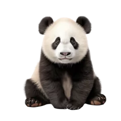 Raamstickers giant panda 18 months isolated on transparent and white background. Generative ai © Dima