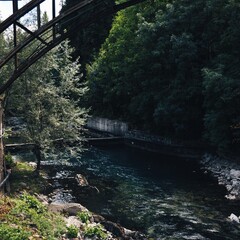bridge over the river