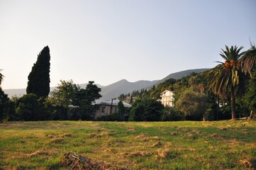 landscape with trees