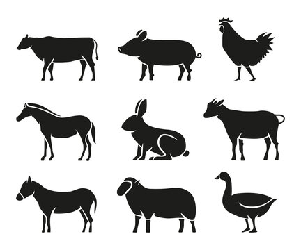 Farm and domestic animals icons, cow, pig, horse, chicken, rabbit, sheep, duck, livestock vector illustration isolated on white background