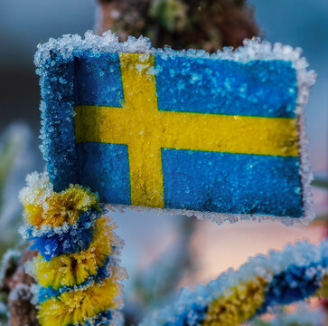 Swedish flag with ice and snow