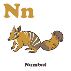 Numbat Alphabet Cartoon Character For Kids
