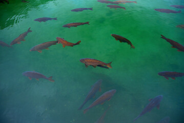 reportage Caserta-Tropea