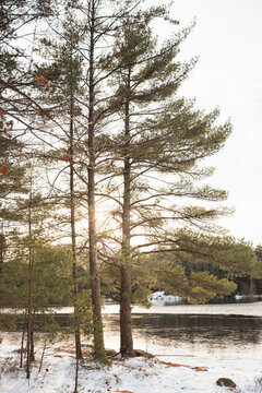 Frozen Muskoka lakes in the winter