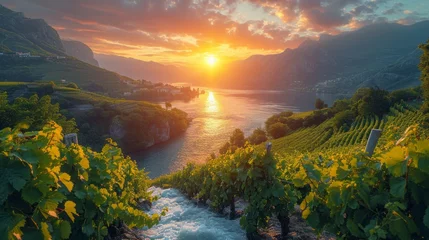Schilderijen op glas Beautiful landscape with mountains and river in a wine region, sunshine bright summer © Nico