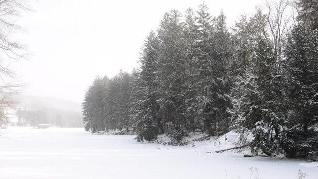 Fresh snow over mountain lake pine trees covered cold weather hand held video