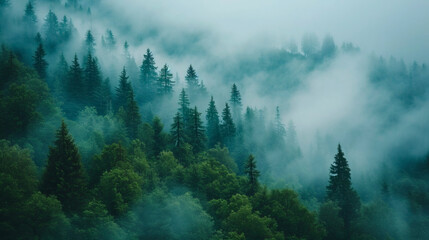Misty mountain landscape with forest and fog