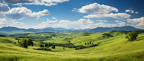 Obraz premium field of grass and perfect sky
