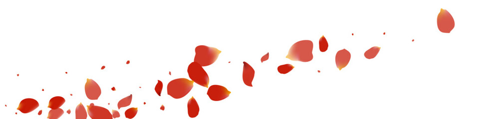 Red Flower Spring Vector White Panoramic