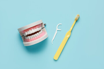 Jaw model, toothbrush and floss toothpick on blue background. World Dentist Day