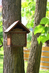 Bee hotel on the tree. Selective focus.