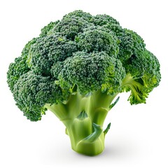 A head of broccoli on a white background