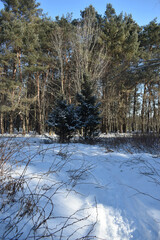 La Plaine 18 Janvier 2024