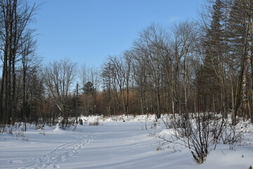 La Plaine 18 Janvier 2024