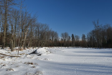 La Plaine 18 Janvier 2024
