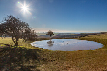 Ditchling Beacon dew pond frozen over on a cold but sunny January morning