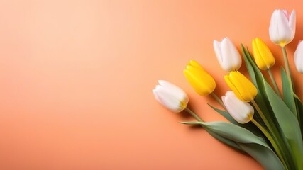 light coral peach color tulips flowers bouquet spring floral banner space for text copyspace