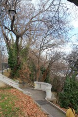 The sea garden in the city of Varna (Bulgaria) in winter