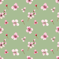 Watercolor floral seamless pattern. Cherry blossom, flowers hand drawing background. Spring sakura flowers