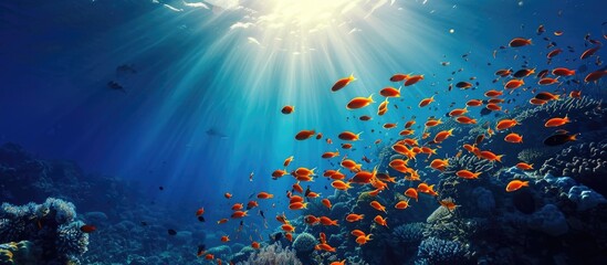 The ocean's depths teem with aquatic wildlife, including fish, making it perfect for scuba diving and underwater photography.
